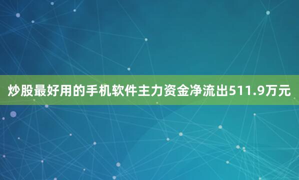 炒股最好用的手机软件主力资金净流出511.9万元
