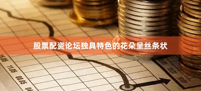 股票配资论坛独具特色的花朵呈丝条状