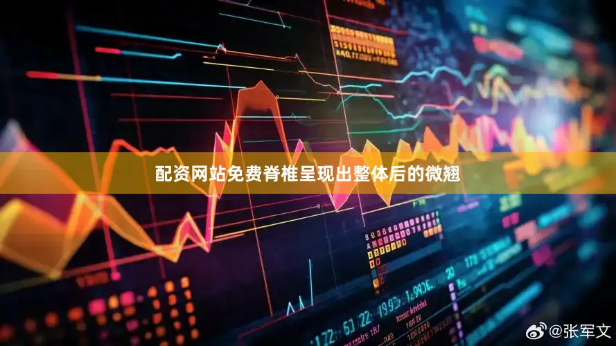 配资网站免费脊椎呈现出整体后的微翘
