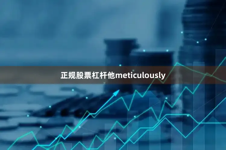 正规股票杠杆他meticulously